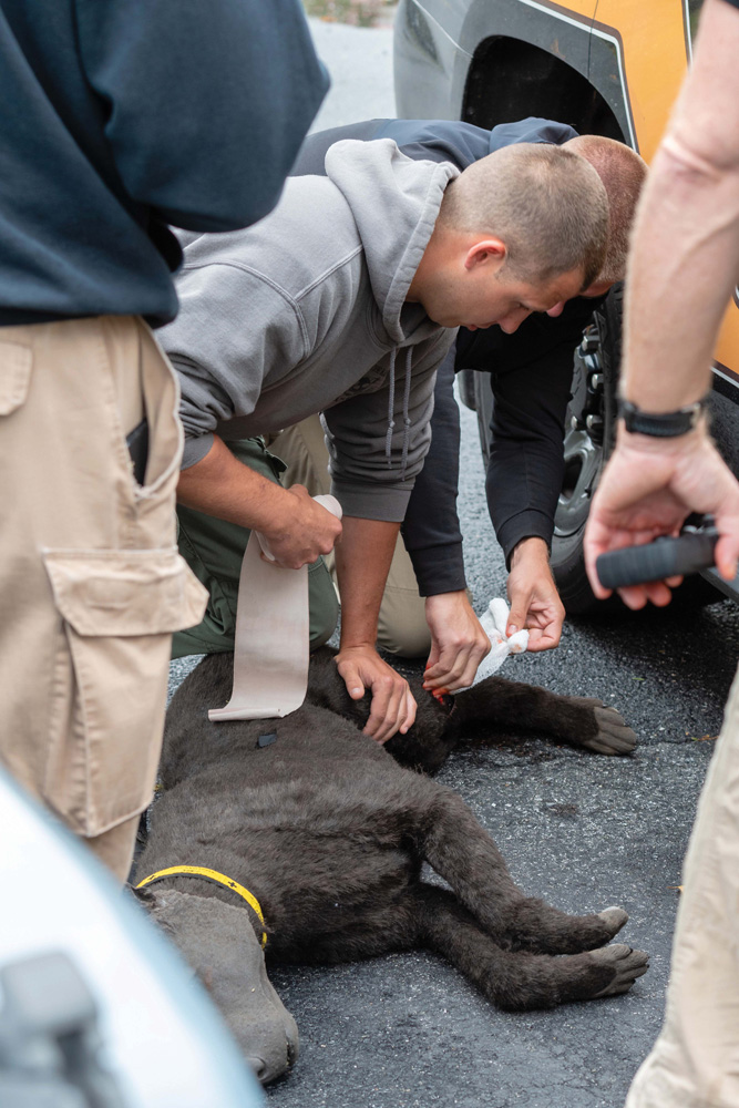 OVPD offers training to K9 units throughout Delaware Coastal Point